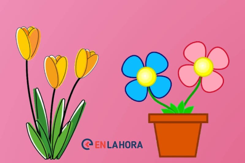 Elige unas flores y esto revelará cómo pasarás el Día del Amor y la Amistad.