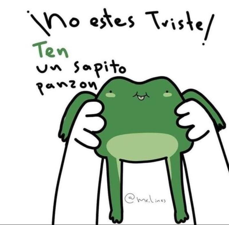 ¡Una rana para que no estés triste! Créditos: Pinterest.