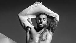 Alejandra Guzmán, Pitbull, Jenni Rivera y Calle 13 han golpeado a sus fans