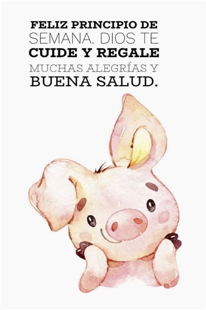 Envíale cariños a tus seres queridos por WhatsApp. Créditos: Pinterest.