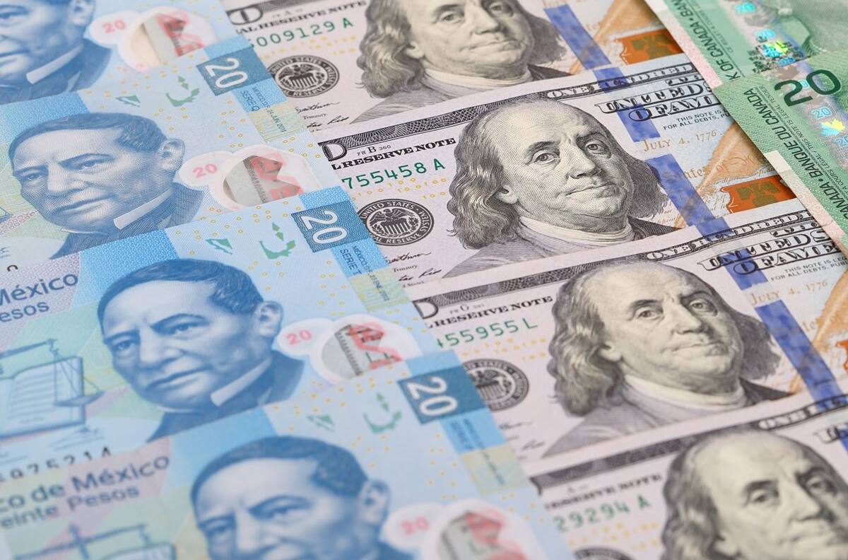 El precio del dólar este 31 de marzo del 2021: Así está el tipo de cambio