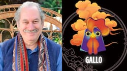 Horóscopo Chino de Pedro Engel: ¿Qué predicciones hay para el Gallo en 2024?