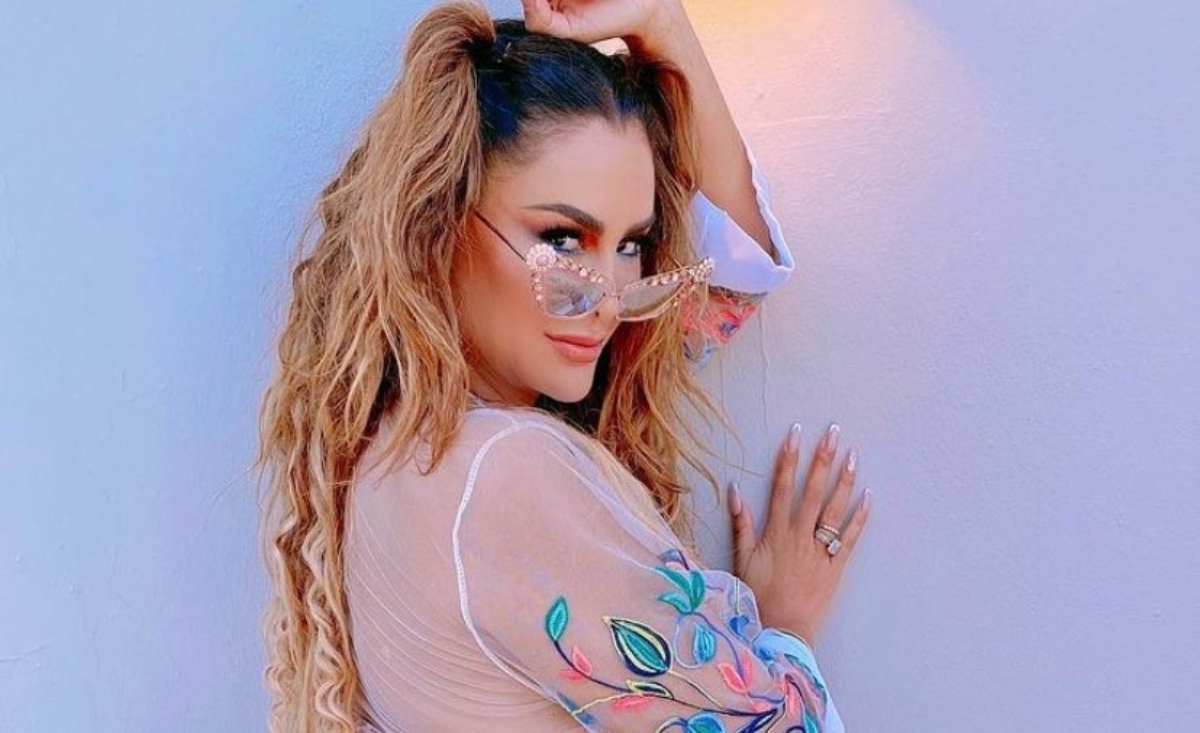 Acusan a Ninel Conde de no pagar las deudas ni de su refrigerador