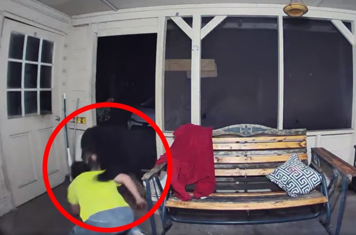 VIDEO: ¡Increíble! Hombre pelea con un oso para defender a sus perritos