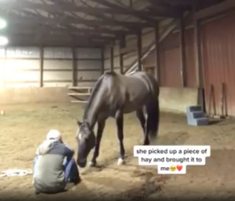 El video ha causado mucha ternura entre los internautas.