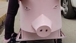 VIDEO | Peculiar forma de vender chicharrones de mujer peruana se hace viral