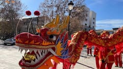 Horóscopo chino 2022: predicciones ¿Qué depara este año para el Dragón?