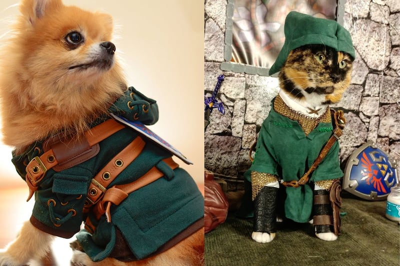Mascotas con disfraces de The Legend of Zelda.
