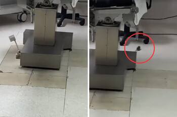 VIDEO| Captan rata en hospital del IMSS en Baja California