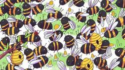 Acertijos visuales: ¿Dónde está el oso ladrón de miel? Tienes 7 segundos para encontrarlo