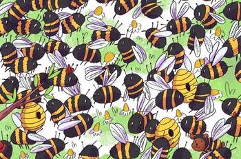 Acertijos visuales: ¿Dónde está el oso ladrón de miel? Tienes 7 segundos para encontrarlo