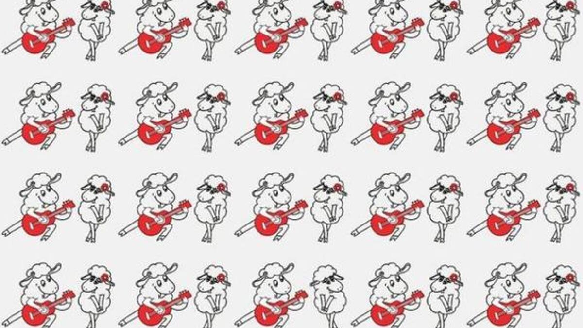 Acertijo visual: Encuentra a la pareja de ovejas rockeras diferente