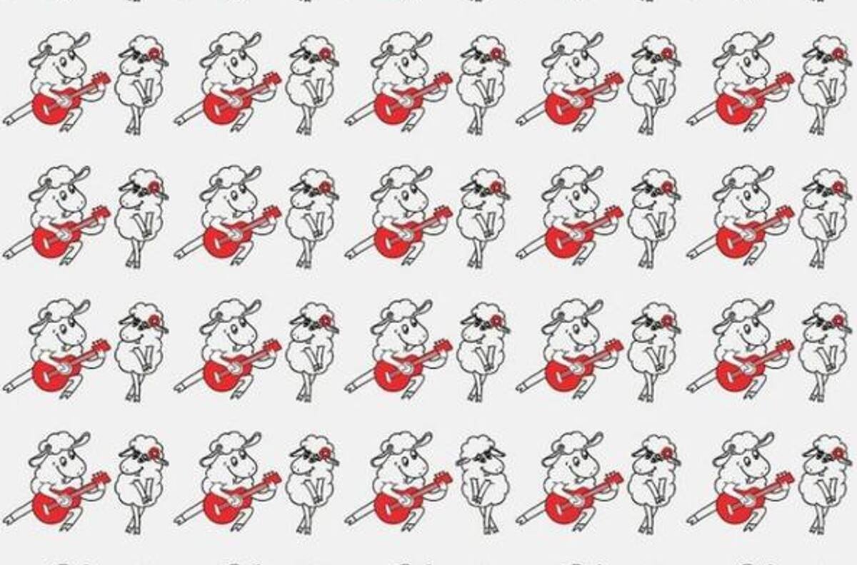 Acertijo visual: Encuentra a la pareja de ovejas rockeras diferente
