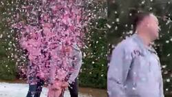 ¿Quería un niño?: Hombre se vuelve viral al enterarse que tendrá otra hija