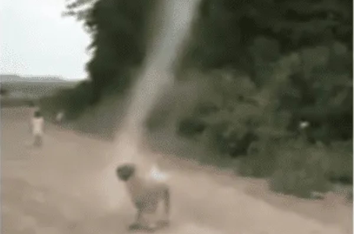 VIDEO | Perrito es captado peleando contra un tornado y se hace viral