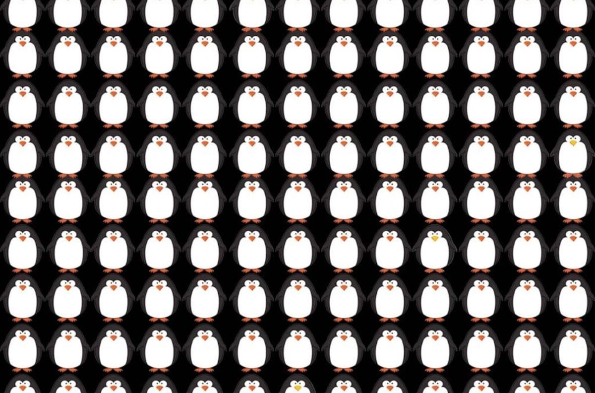 Acertijo visual: Encuentra los pingüinos con pico diferente en tan sólo 30 segundos