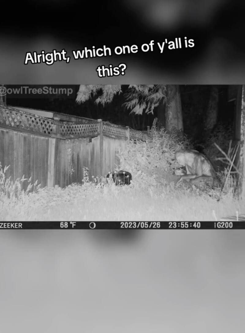 El video resultó ser falso.