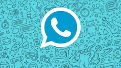 WhatsApp Plus APK: ¿Cómo descargarla gratis y cuáles son sus peligros?