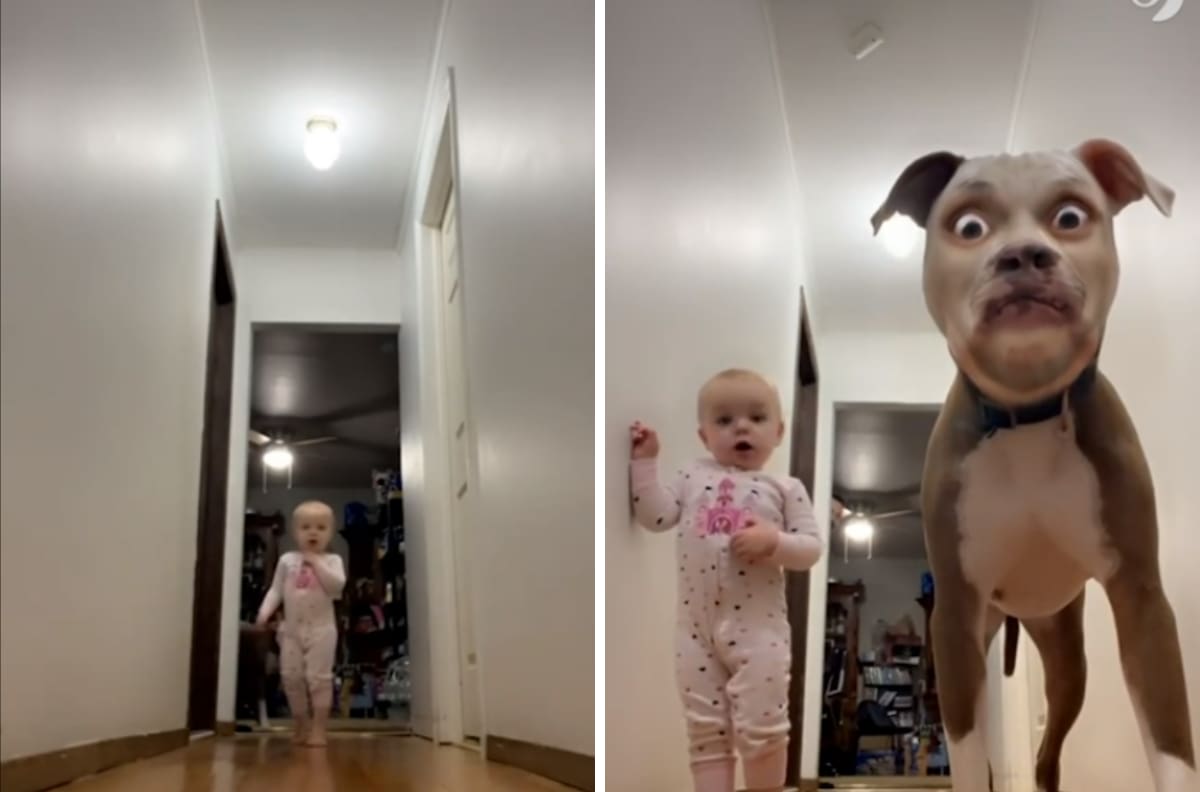 Bebé y perrito utilizan un filtro y su reacción se hizo viral| VIDEO