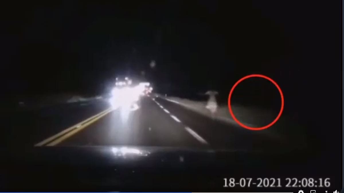 Video: ¿Un fantasma? Captan a mujer corriendo de noche en la carretera Saltillo-Torreón