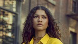 Zendaya regresó a la alfombra roja con un increíble look para los NAACP Image Awards