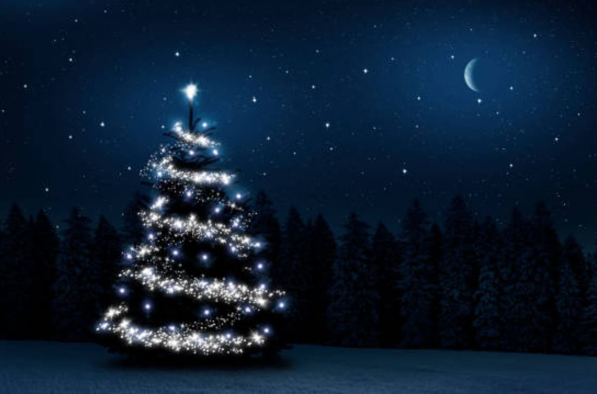 Astrología: Decora tu árbol de Navidad según tu signo zodiacal
