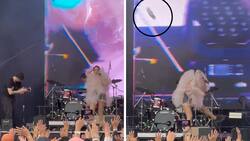 VIDEO| Elsa y Elmar lanza Dr. Simis a su público en el Vive Latino y se hace viral