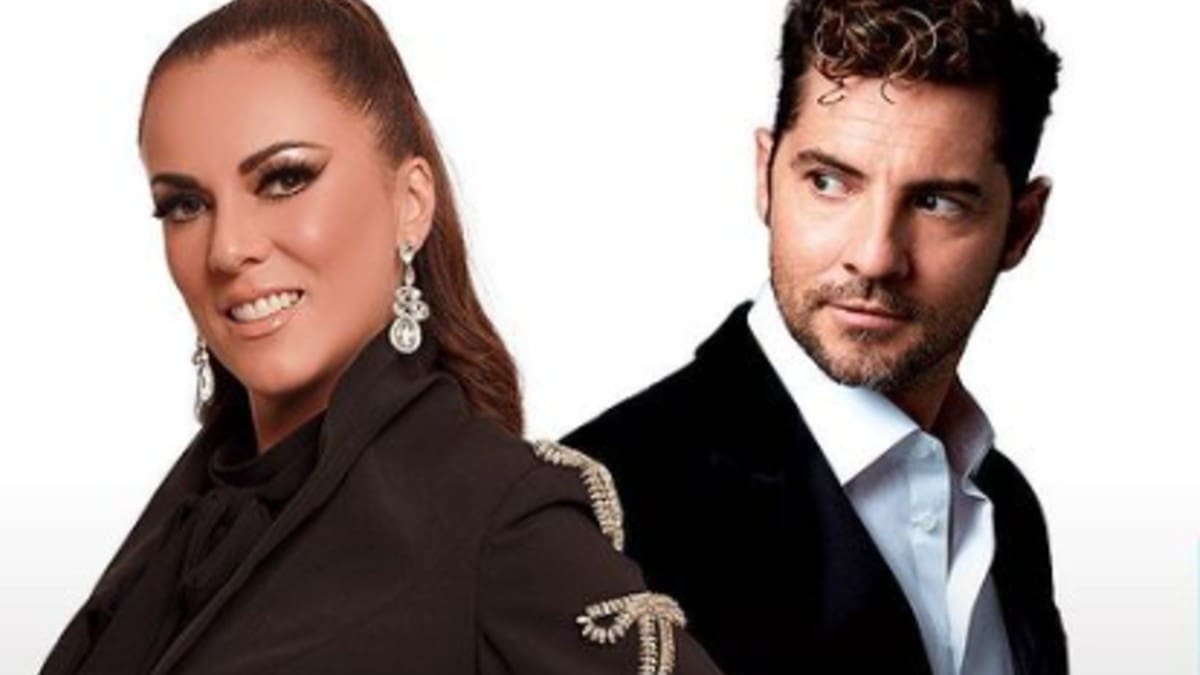 Edith Márquez invita a cantar a David Bisbal y él responde "es complicado"