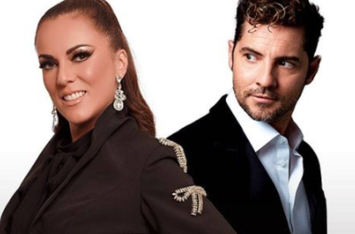Edith Márquez invita a cantar a David Bisbal y él responde "es complicado"