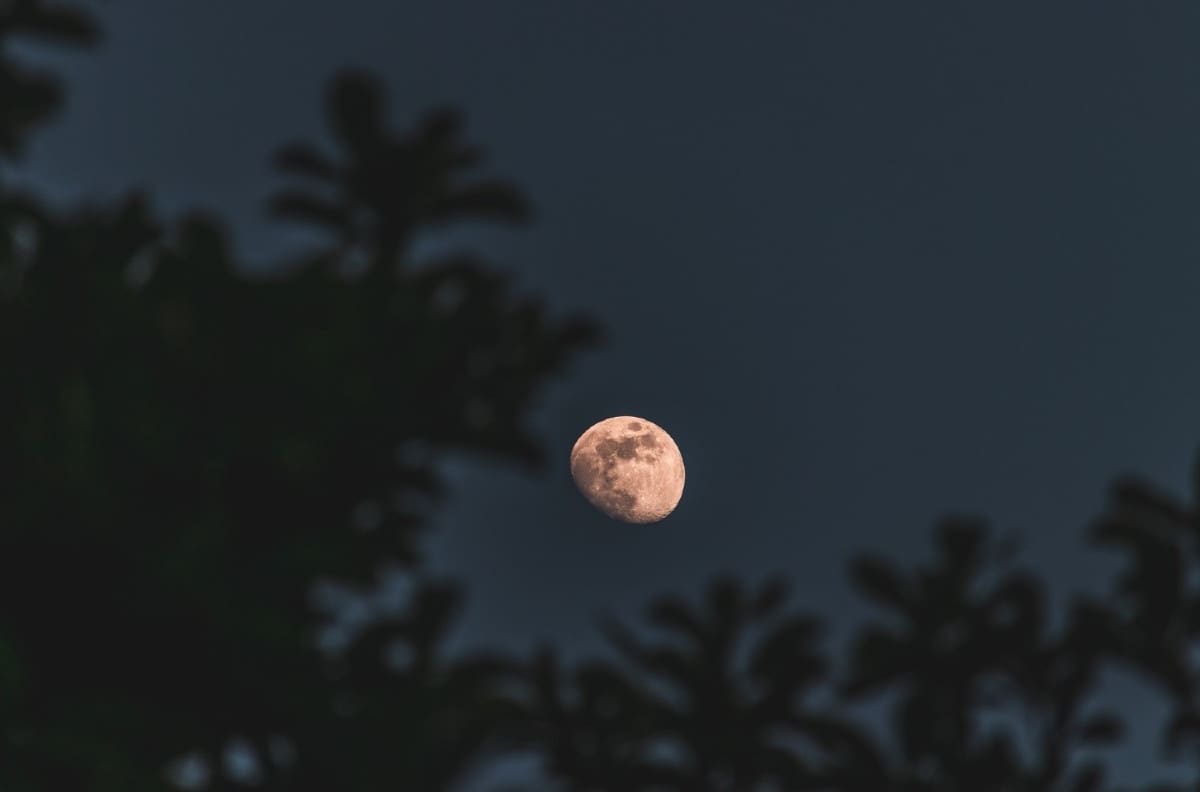 Luna Rosa y eclipse solar: Estos son los eventos astronómicos de abril