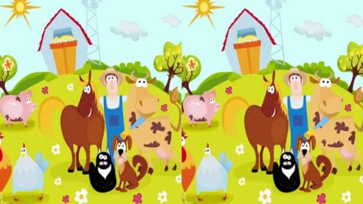 Acertijo visual: Encuentra los errores en la granja, tienes 8 segundos para resolverlo