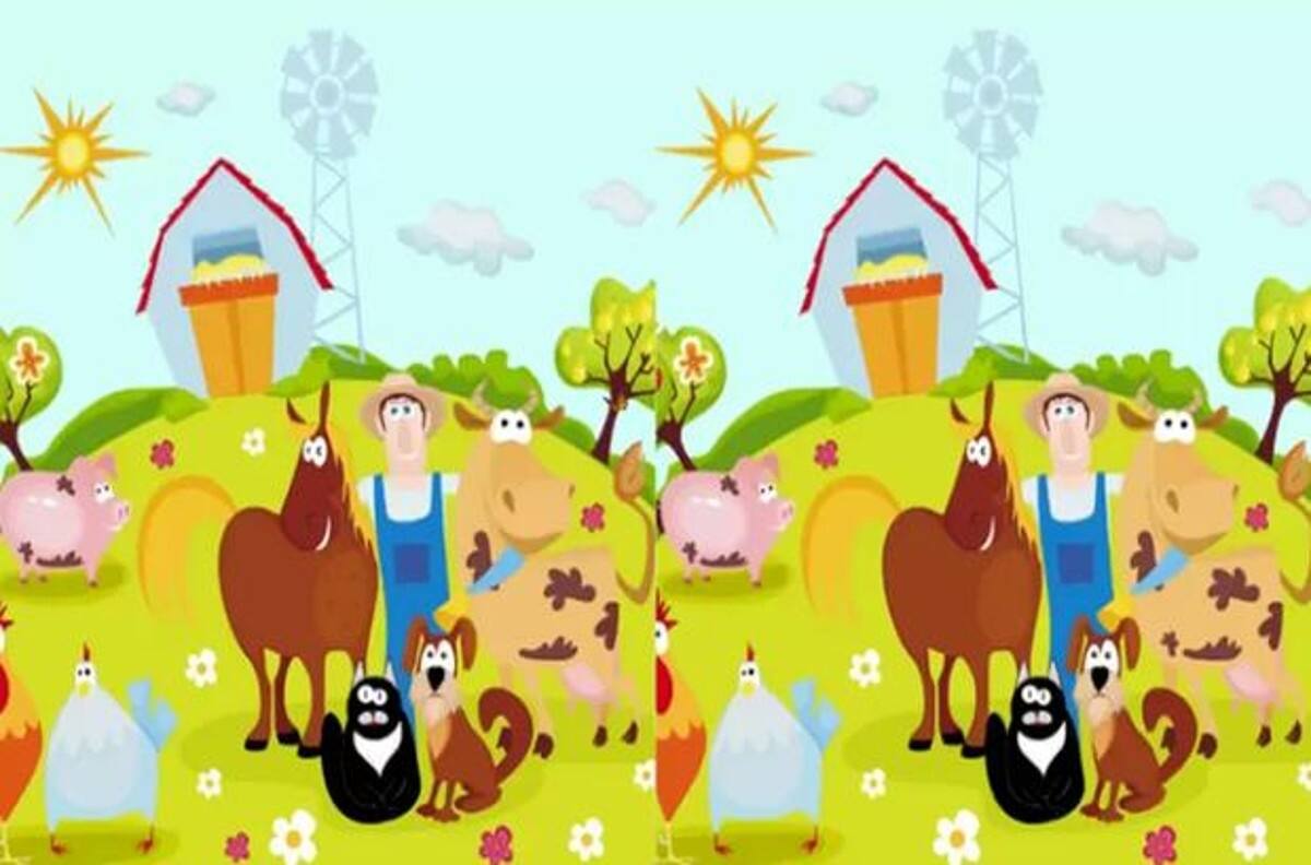 Acertijo visual: Encuentra los errores en la granja, tienes 8 segundos para resolverlo