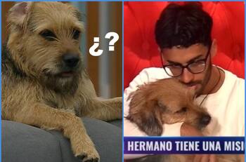 “Te vengo a sacar la careta”: Jorge Aldoney realizó inédita funa a Bigote en “Gran Hermano” Chile