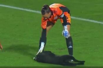 VIDEO | El tierno momento de Christiane Endler con perrito en la cancha del partido de Chile