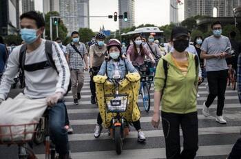 ¿Surgió de los Murciélagos o de un laboratorio? Estás son las 4 teorías sobre el COVID que maneja la OMS