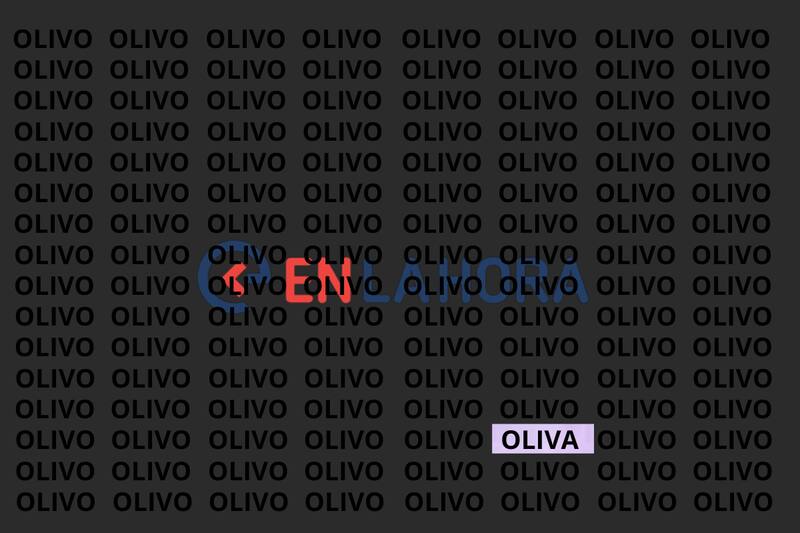 Esta es la respuesta del acertijo viral.