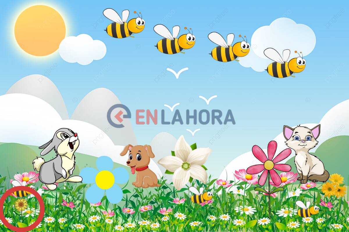 Encuentra el girasol en solo 5 segundos.