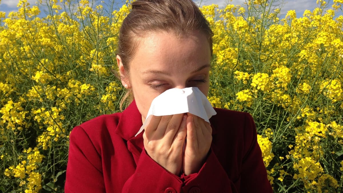 ¿Se adelanta la primavera? Así puedes prevenir las alergias y reconocer sus síntomas