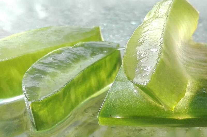 El aloe vera ayuda además a cicatrizar mejor la piel y a combatir el acné (Foto: Archivo).