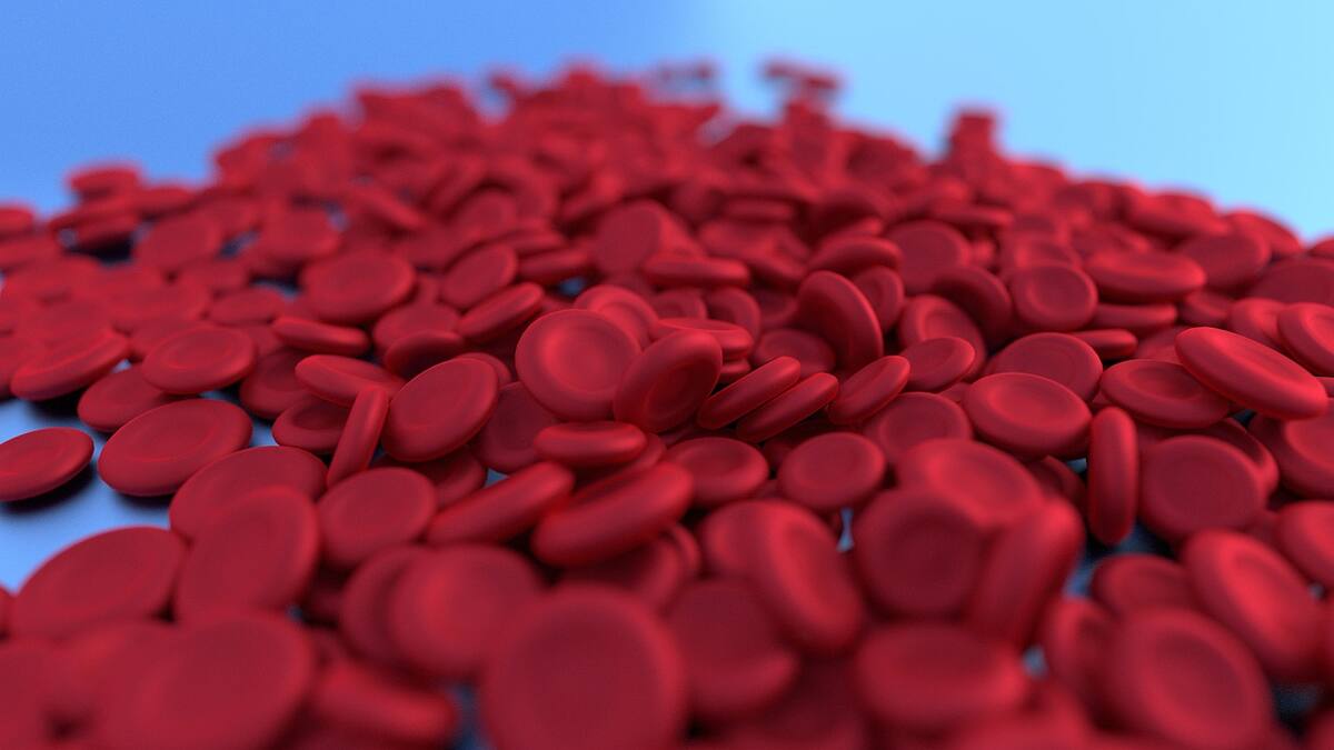 La falta de glóbulos rojos puede provocarnos anemia y otras consecuencias a la salud.