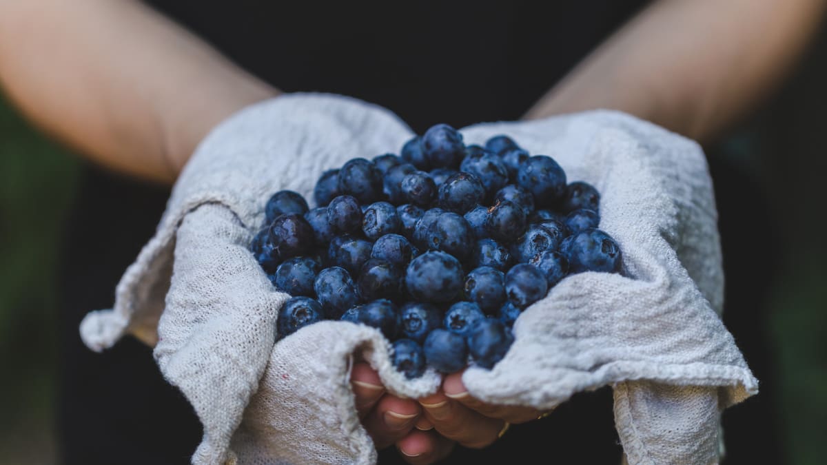 Previene el envejecimiento comiendo arándanos