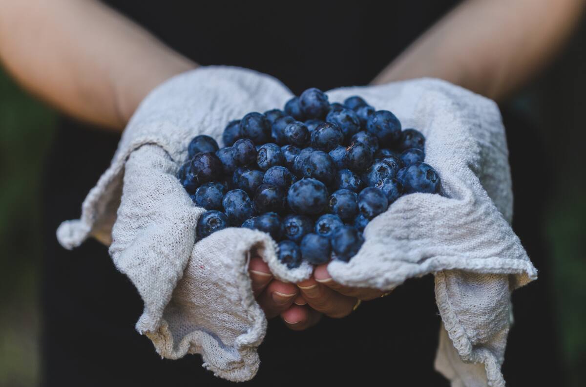 Previene el envejecimiento comiendo arándanos
