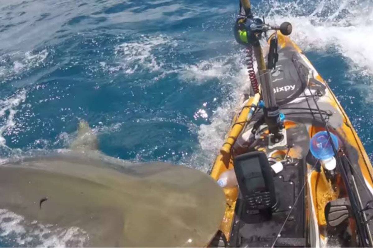 El hombre no sabe qué provocó el ataque. Créditos: @hawaiinearshorefishing