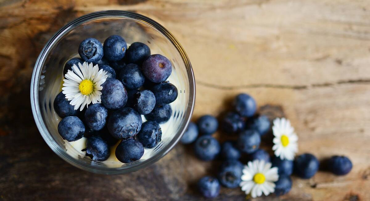 Sus antioxidantes mejoran la circulación en la sangre.