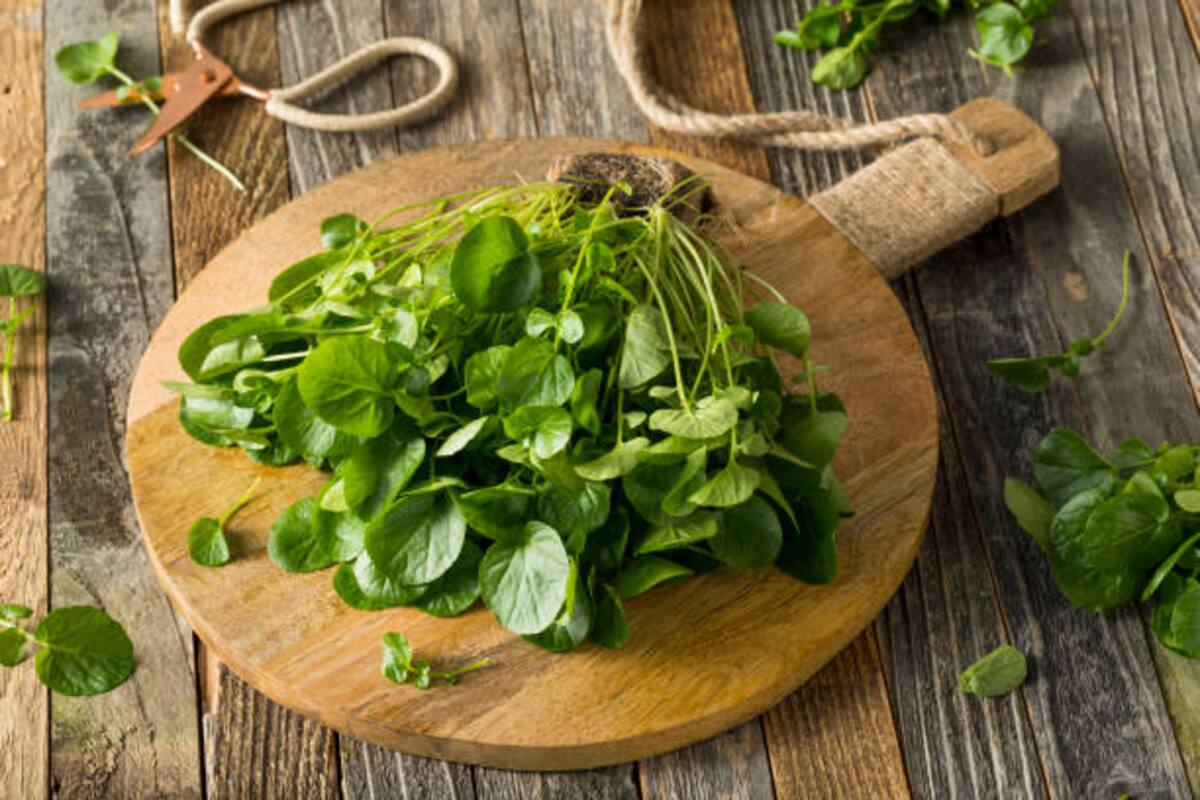 Los berros son ricos en vitaminas y minerales, se consideran los alimentos más sanos del mundo