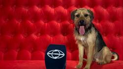 ¿Dónde está Tuti?: Las razones por las que Bigote no estuvo en la casa de “Gran Hermano” Chile