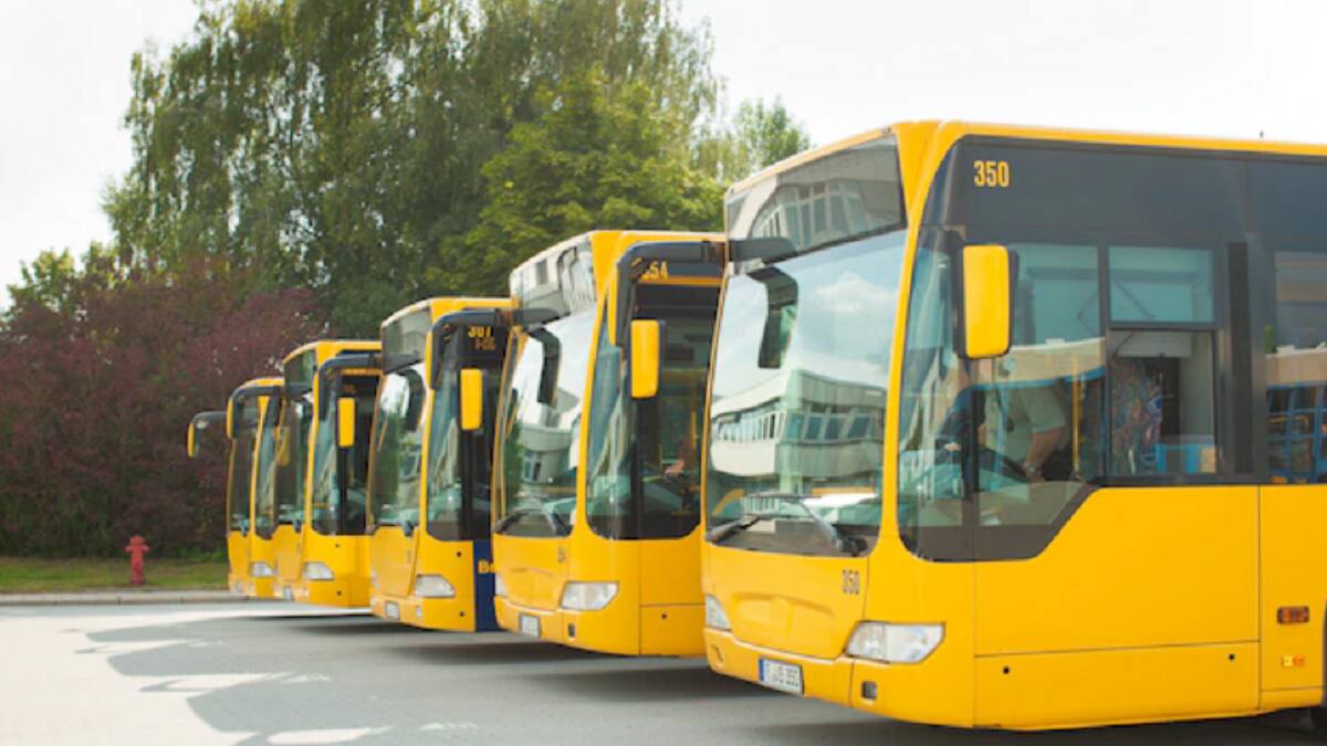 Explicación del juego del camión de la escuela que se ha hecho viral en TikTok