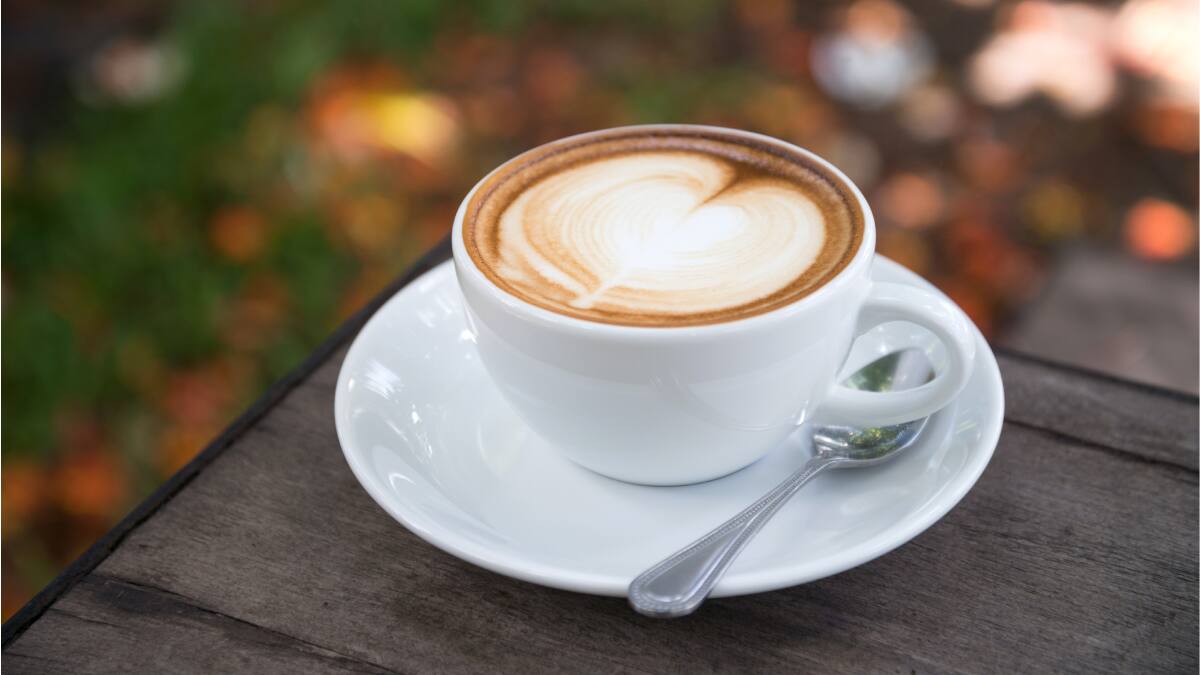 Propiedades del café mejoran la calidad de vida y ayudan a retrasar el envejecimiento