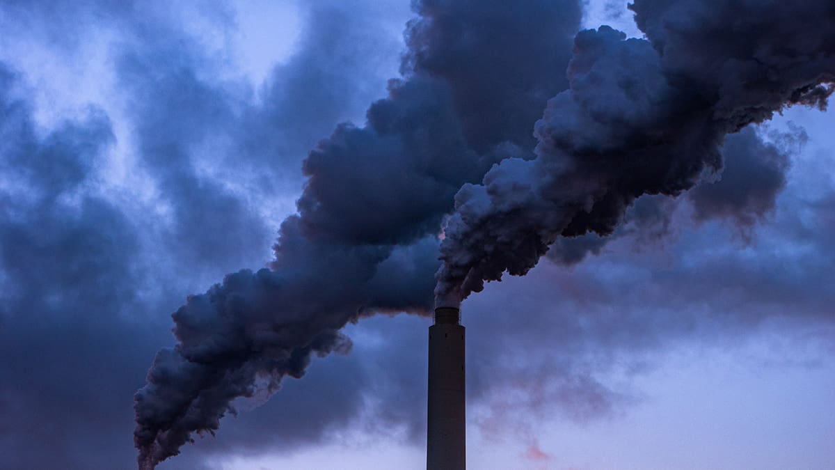 Tres actividades económicas que afectan al cambio climático