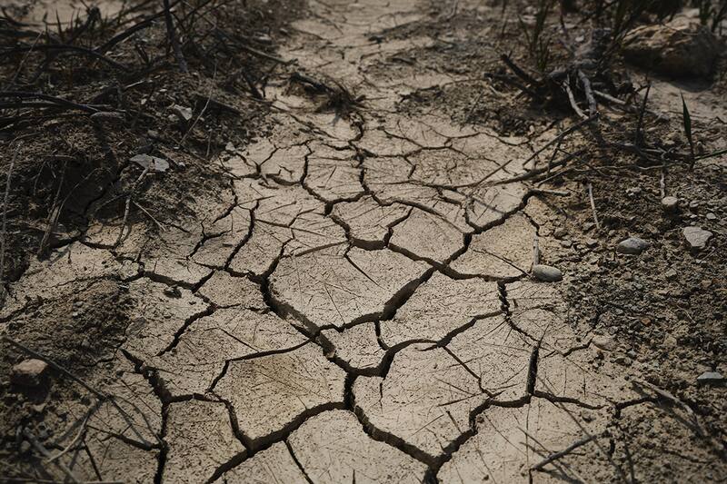 Estas son sus principales consecuencias. Créditos: Pexels.